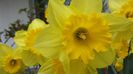 20140405_112538