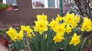 20140405_112619