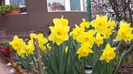 20140405_112622