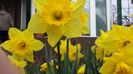 20140405_112632