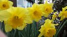 20140412_143627