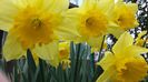 20140412_143635