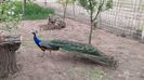 20140423_162933