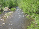 natura primavara 013