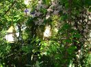 DSC07350