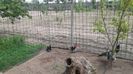 20140423_115625