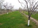 DSC00015