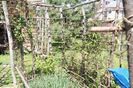 DSC00081