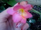 aPRILIE 2014 005