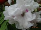 DSC02676