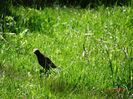 DSC02806