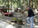 DSC00404