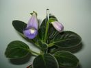 DSC08017