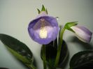 DSC08016
