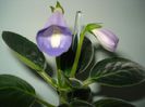 DSC08020