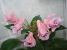 DSC08042
