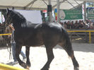 DSCN4462