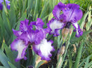 DSCN1423_018