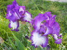 DSCN1426_021
