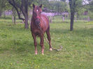 IMG-20140428-02005