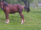 IMG-20140428-02006