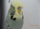 DSCN2219