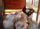 IMG_20140428_082256_730