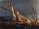 [www.fisierulmeu.ro] 3D Horror Wallpaperes  poze super marfa belea1024x978 Picture collection (14)