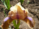 P1050993