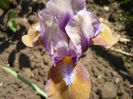 P1060002