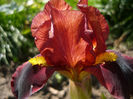 P1060012