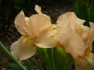P1060057