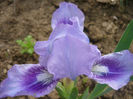 P1060067