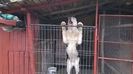 WP_20140428_011