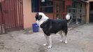 WP_20140428_014