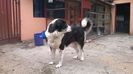 WP_20140428_015
