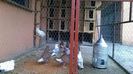 WP_20140428_008