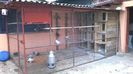 WP_20140428_010