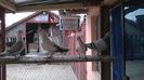 WP_20140428_029