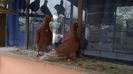 WP_20140428_030