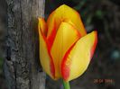 DSC02702