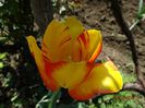 DSC02739