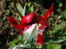 DSC02731