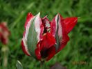 DSC02666