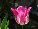DSC02719