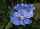 DSC02728