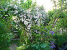 DSC07710