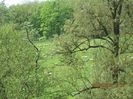 IMG_4263