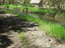 DSC02860