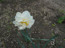 apriilie 2014 039